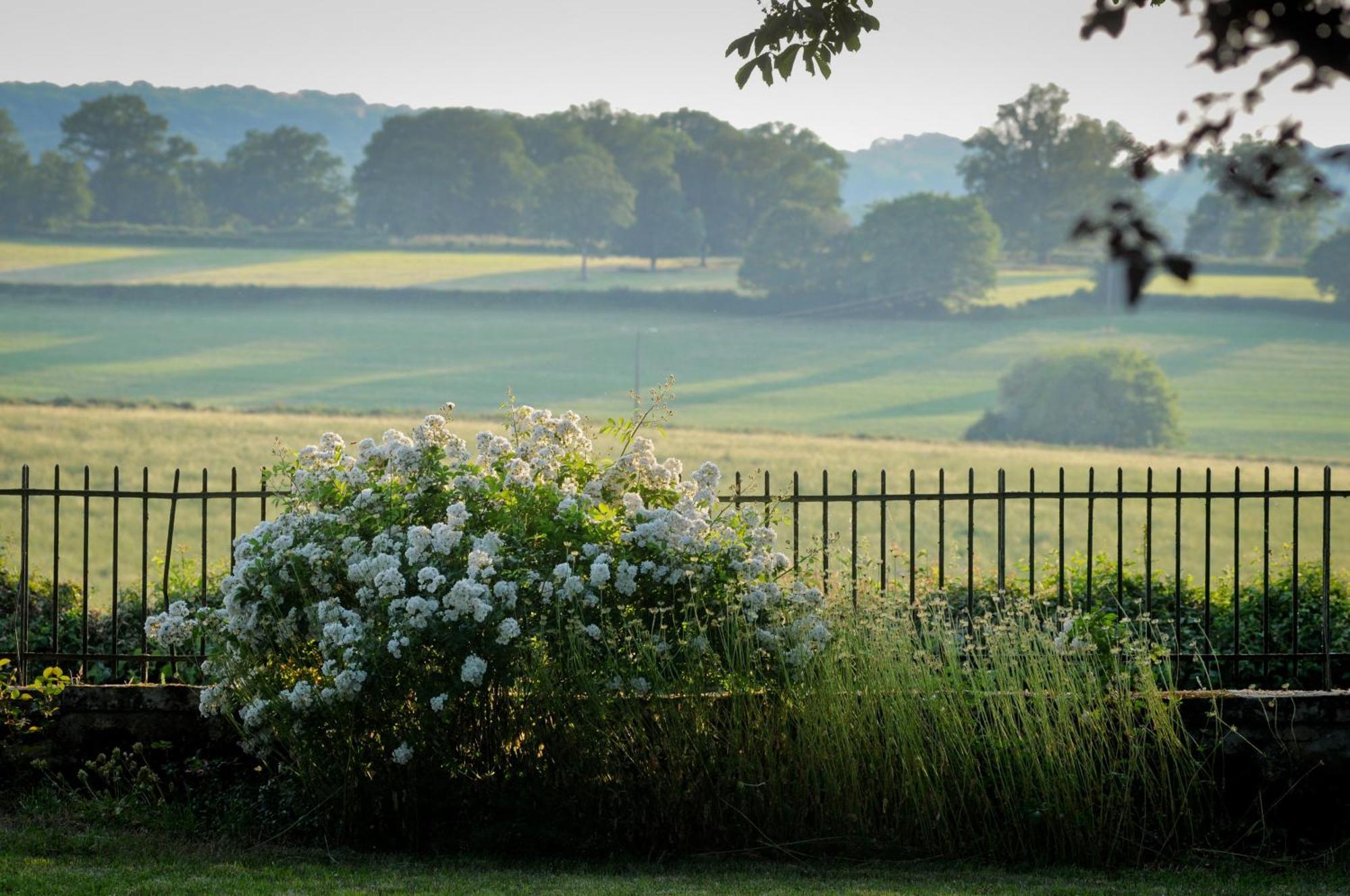 Le Manivert Bed and Breakfast Vitry-Lache Exterior foto